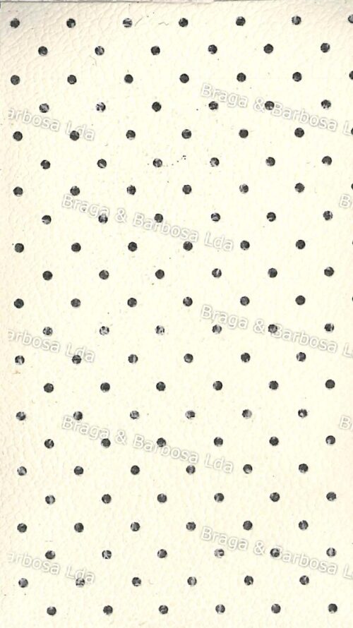 Pergamoide ▪ 212 c/Espuma